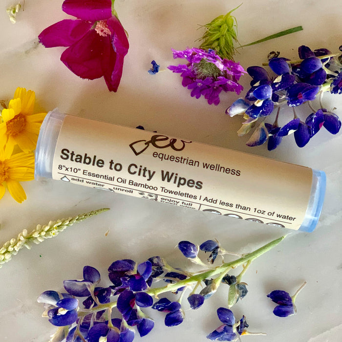 Equestrian Wellness Stable to City Wipes